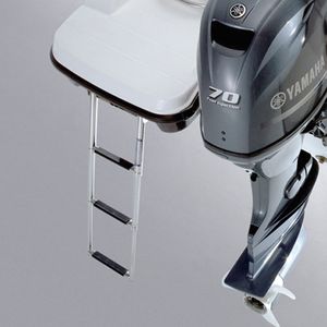 ラダー/ステップ ラダー/ステップ